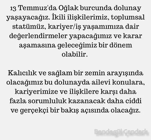 13.webp