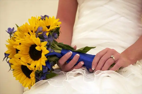 1313568-large.webp