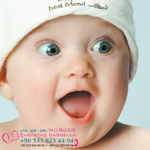 13223942662.webp