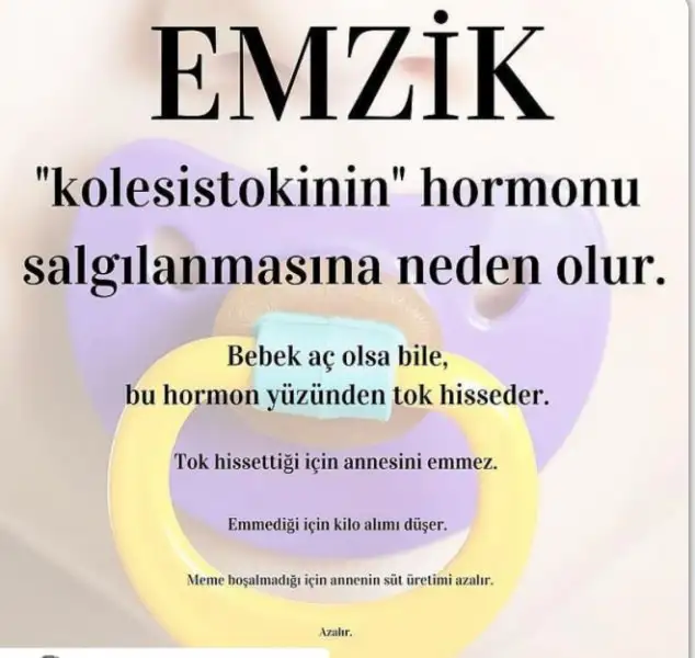 134B061B-26CA-40E2-A69D-6ECB8B9CB6D7.webp