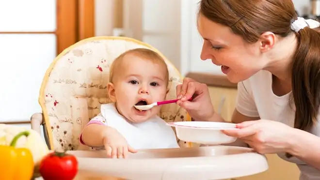13578-diversification-alimentaire-bebe.webp