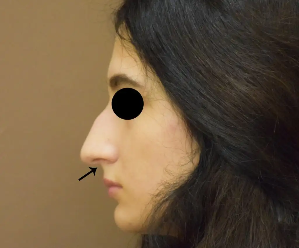 136.jpg