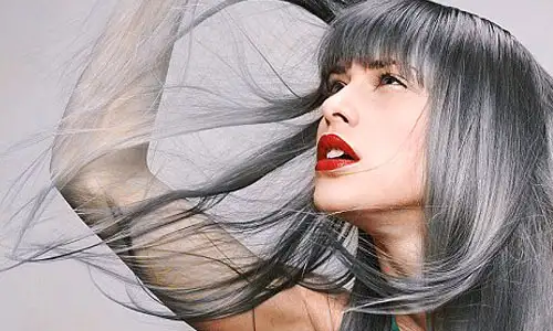 1367665686_grey hair.webp