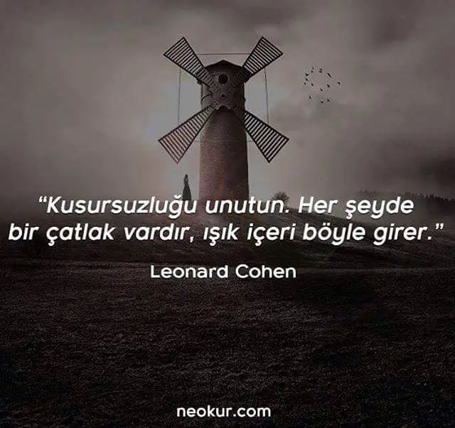 13700090_1238536986190396_1673631259898204594_n.webp