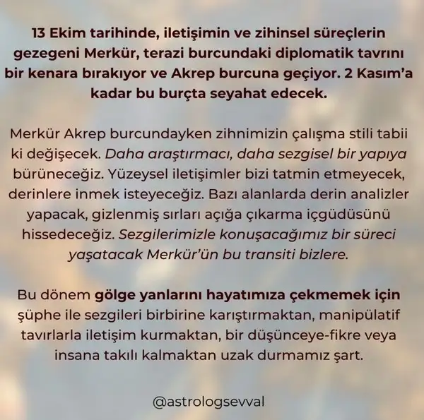 13ek 2.webp