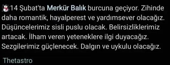 14 mer bal.webp