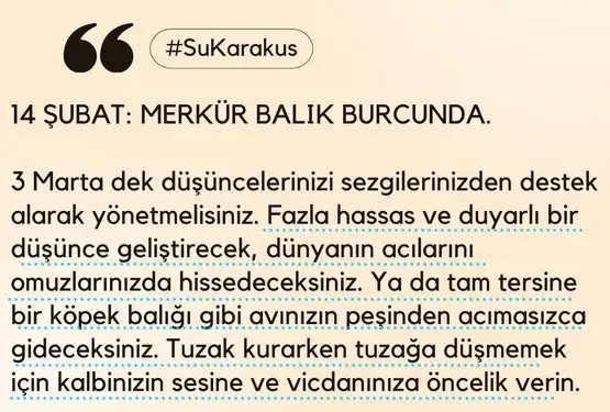14 şb mer bal.webp