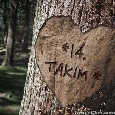 14.TAKIM.webp