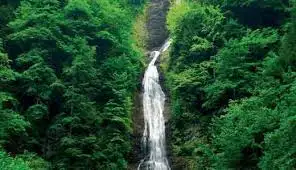 14.webp