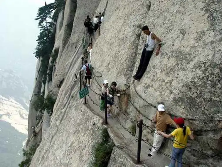 14.webp