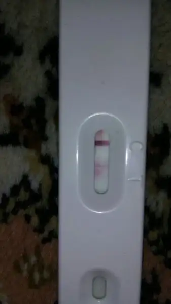 14.webp