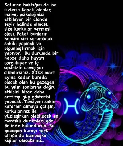 14.webp