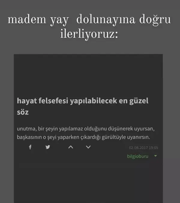 14 yay 2 (10).webp