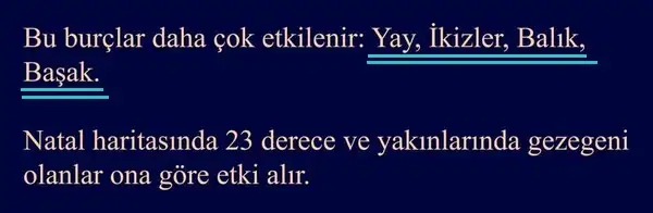 14 yay 5 (4).webp
