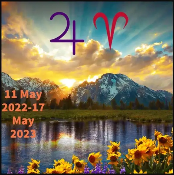 14 yay.webp