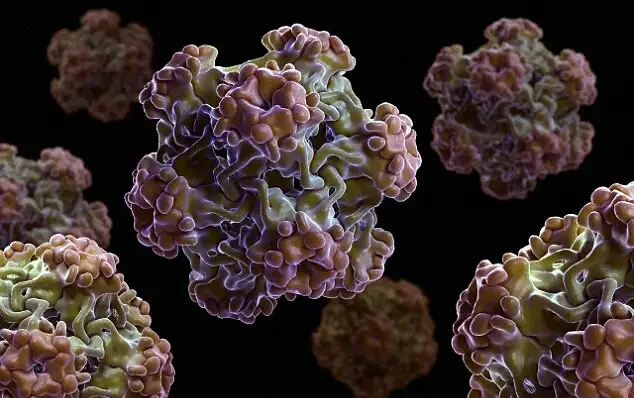 1414775292930_wps_9_Structure_of_small_virus_.webp