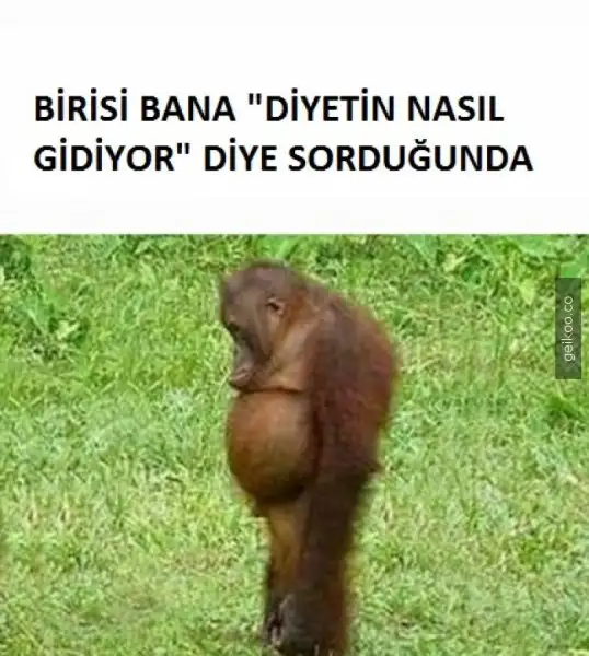 14157000595461de5b675f3_big.webp