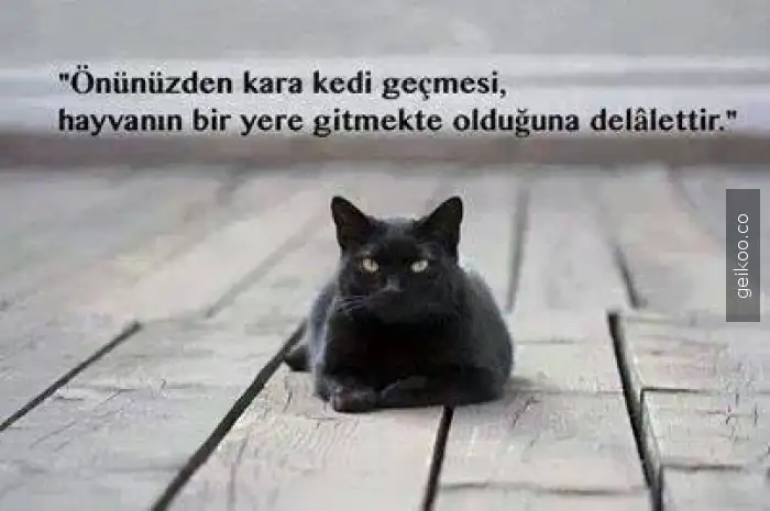14161623075468ec03d2529_big.webp