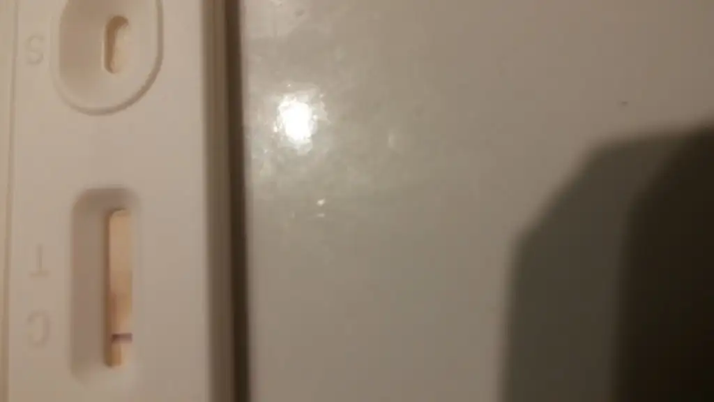 1419600552390.webp