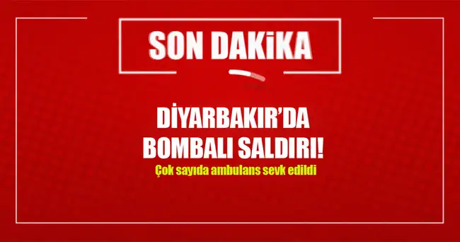 1462132624936.webp