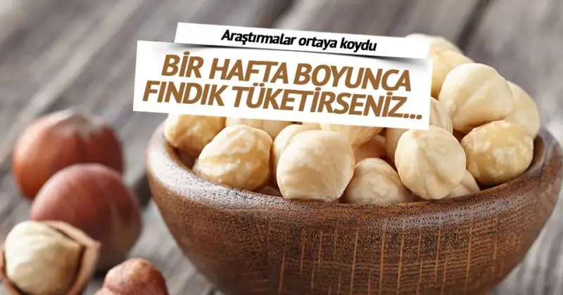 1462607789015.webp