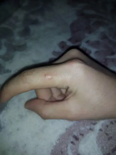 1475184484226.webp