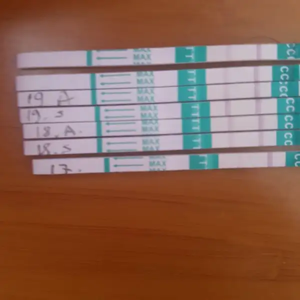 1487590374136510292936.webp