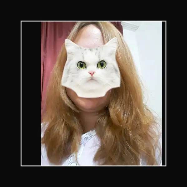 1498336723424.webp