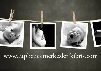 15.05 (2).webp