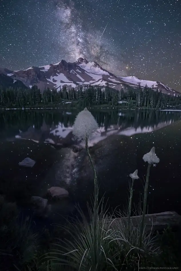 15.webp