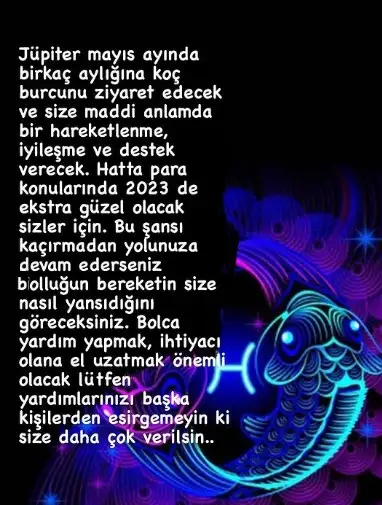 15.webp