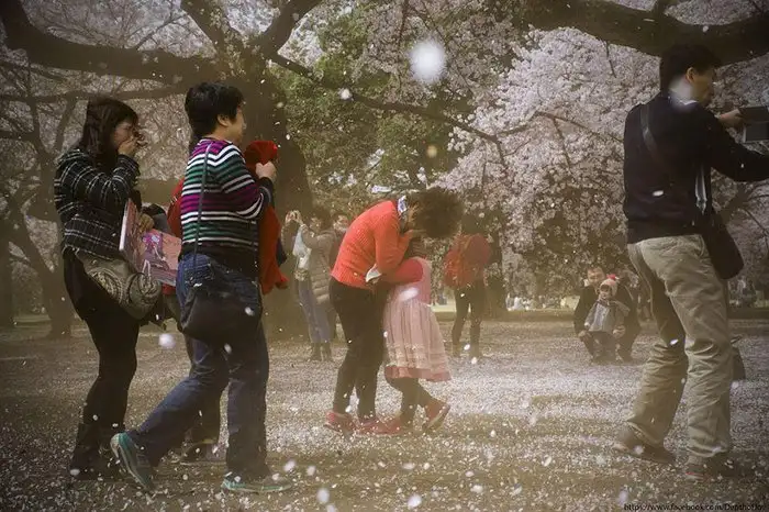 1506c249188c4e33afe4d04a7fb6a818.jpg.700x0_q85_autocrop_crop-smart_upscale.webp