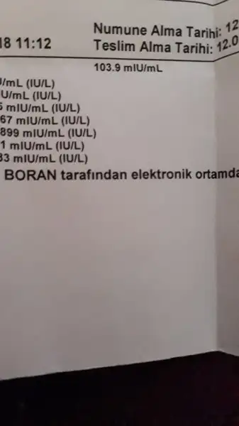 15184447200851274060001.webp