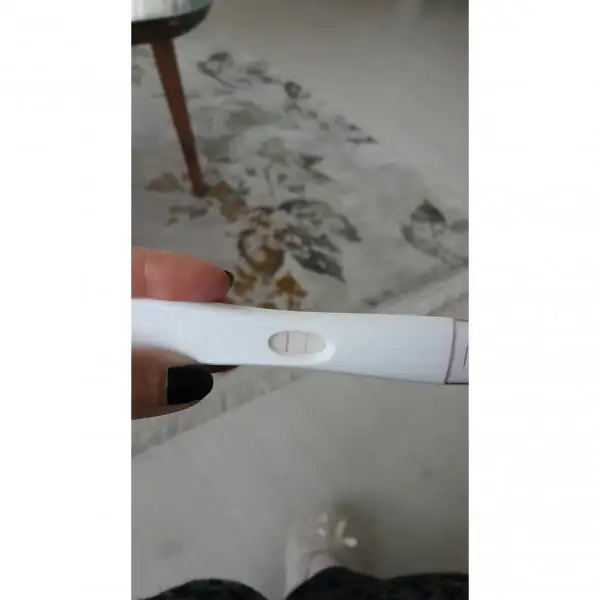 1520081936588.webp