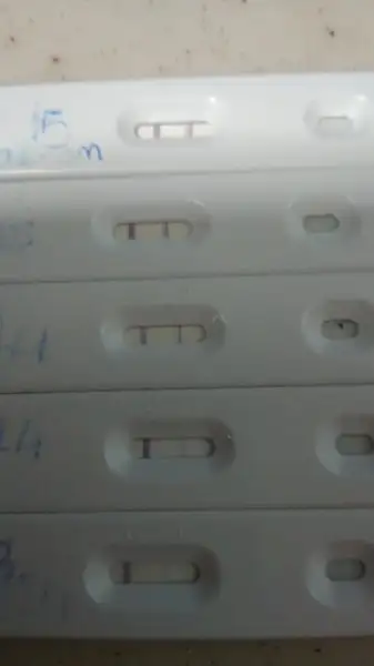 15205407177051323391468.webp