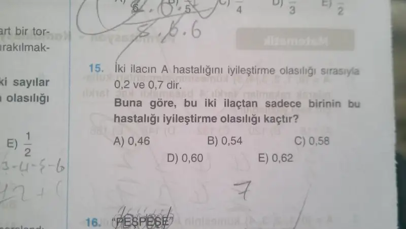 15251034453101667012497.webp