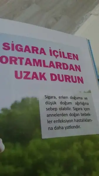 15392871116631704797753.webp