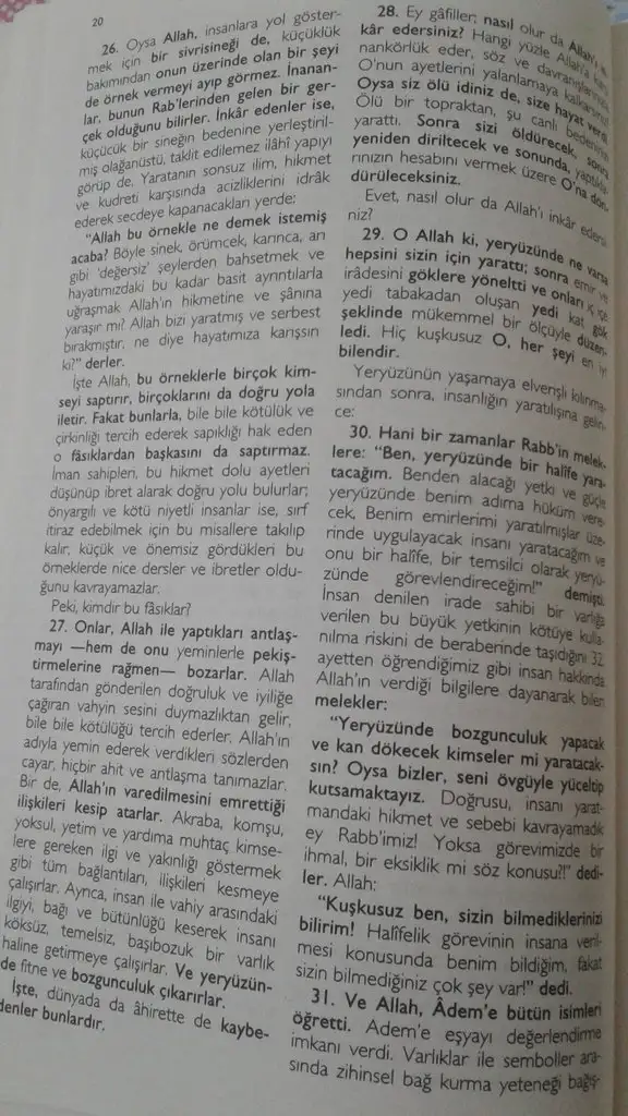 15537937689991742984514.webp