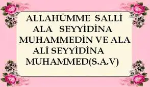 1564140373810.webp