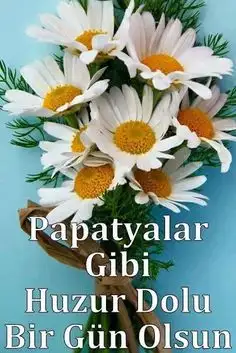 1574756065756.webp