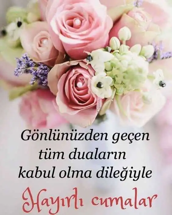 1575020315616.webp
