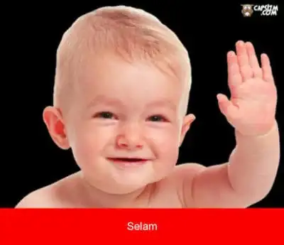 1575620732267.webp