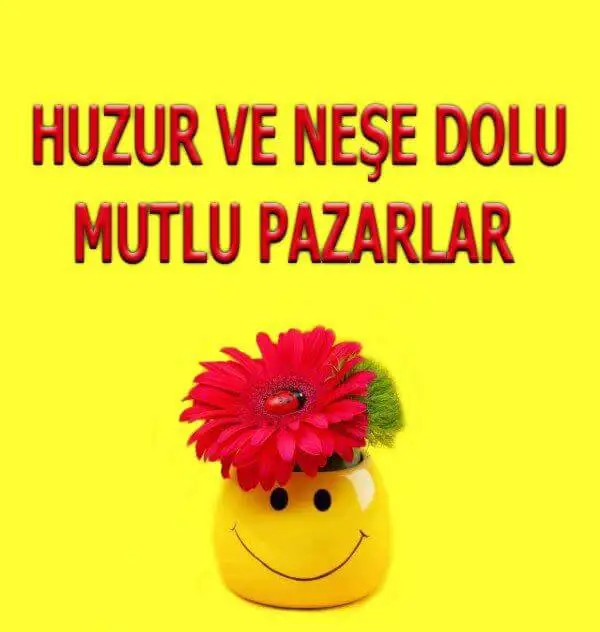 1575799889570.webp