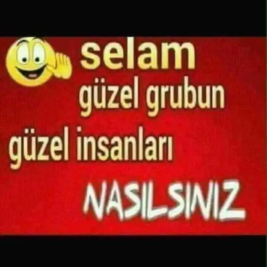 1576491028088.webp