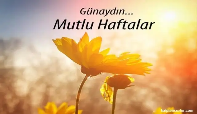 1581322573570.webp