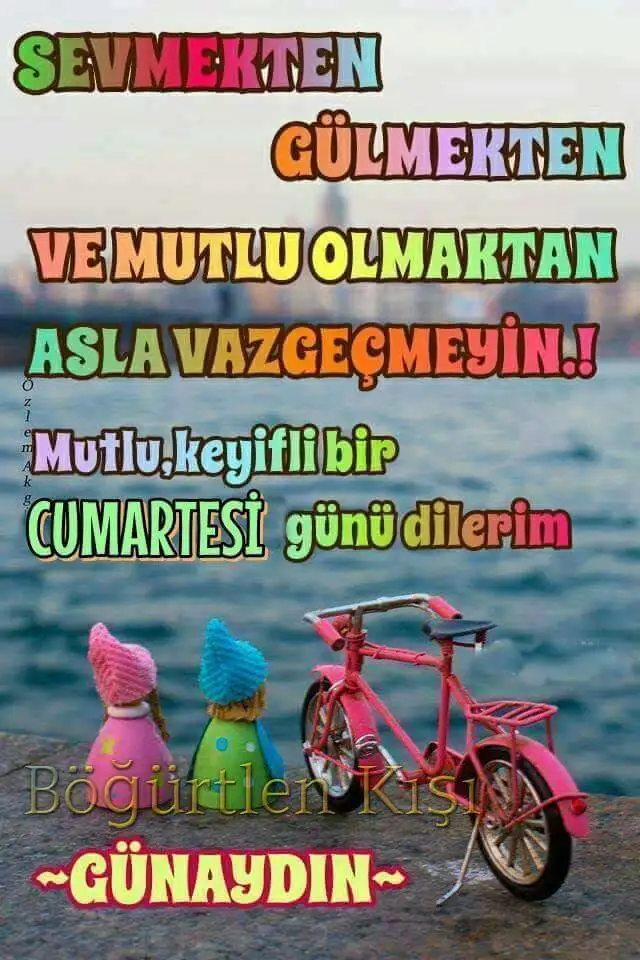 1582355308830.webp
