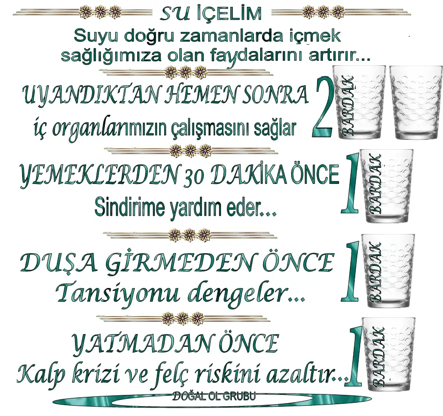 1582361207207.webp