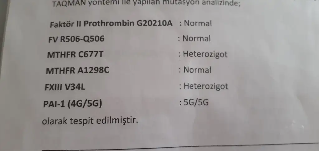 15827933504436093024793156098202.webp