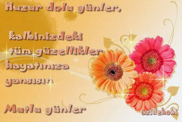 1582969041643.webp