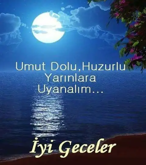 1583266277178.webp